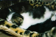 baby2.jpg