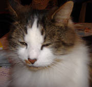 jonesytired2.jpg