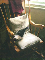 rocker2.jpg