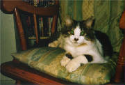 rocker3.jpg