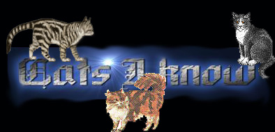 catsiknowheading.jpg