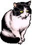 nicecat.gif